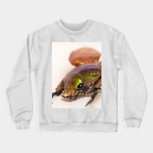 Summer Christmas Beetle Crewneck Sweatshirt